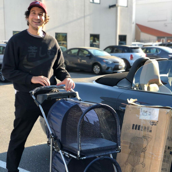 5 Reasons You Should Start Taking Your Cat for a Stroll