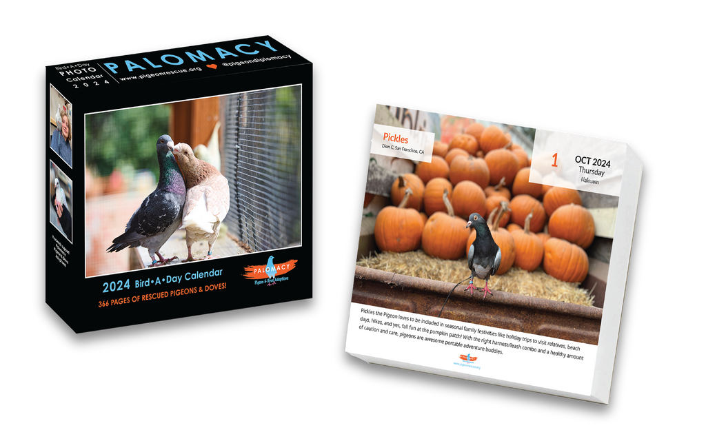 2024 Palomacy Page-A-Day Desk Calendar – The Pigeon Rescue Shop 2024-palomacy-page-a-day-desk-calendar-the-pigeon-rescue-shop