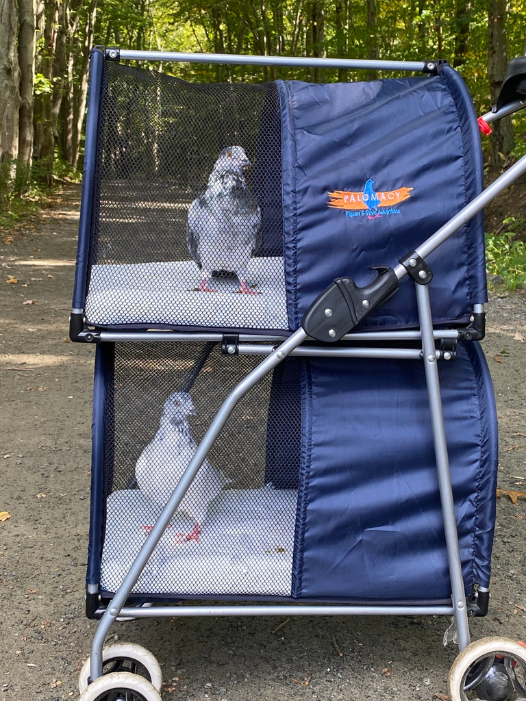 Double Decker Pet/Pigeon Stroller - TEMPORARILY SOLD OUT