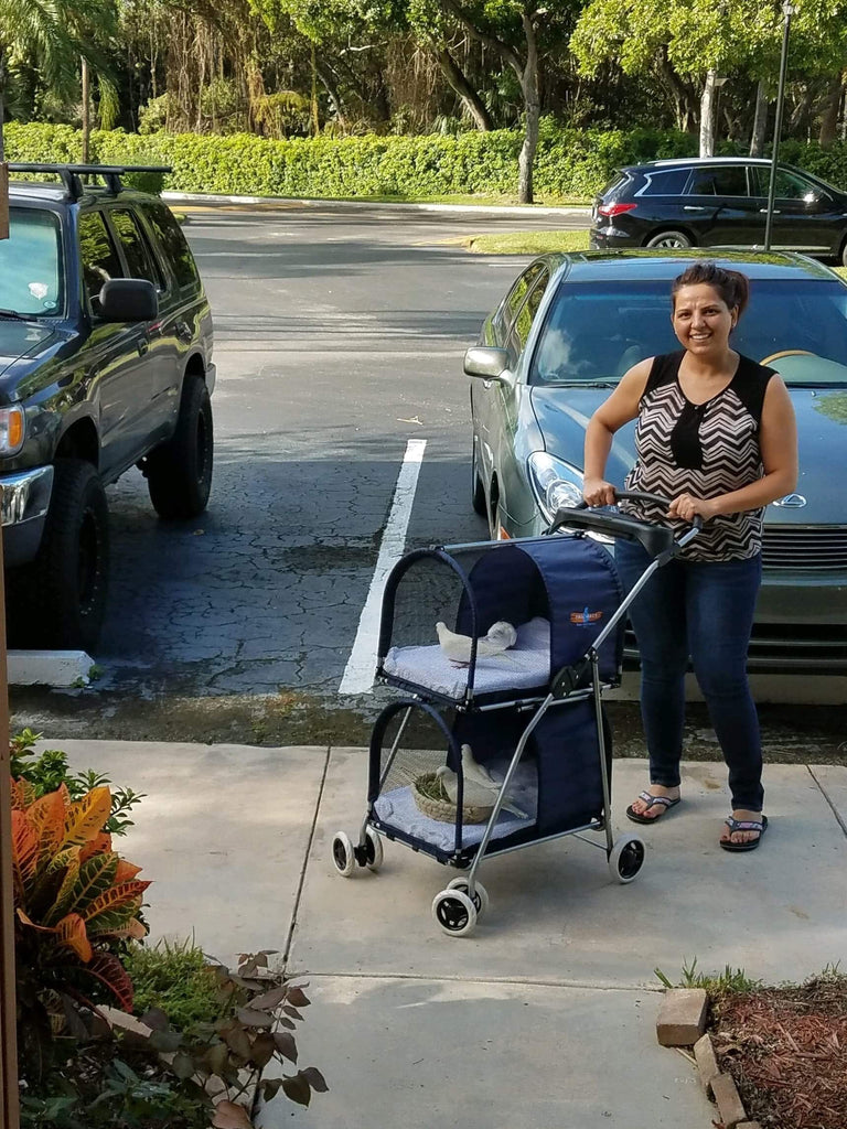 Double Decker Pet/Pigeon Stroller - TEMPORARILY SOLD OUT