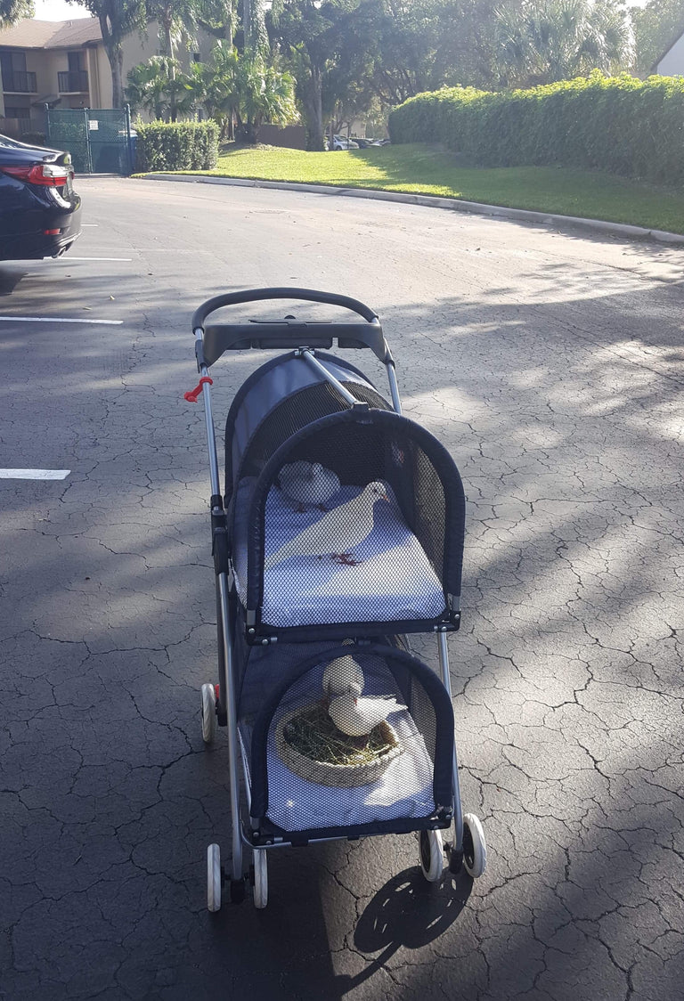 Double Decker Pet/Pigeon Stroller - TEMPORARILY SOLD OUT