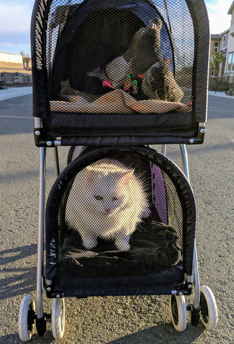 Double Decker Pet/Pigeon Stroller - TEMPORARILY SOLD OUT
