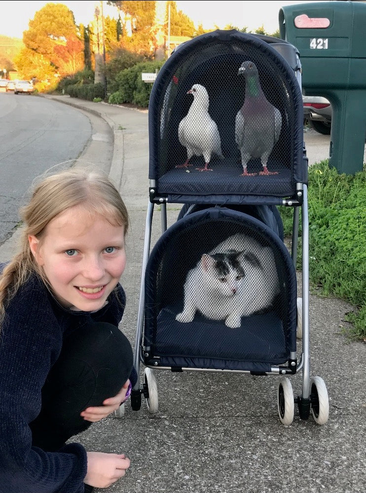 Double Decker Pet/Pigeon Stroller - TEMPORARILY SOLD OUT