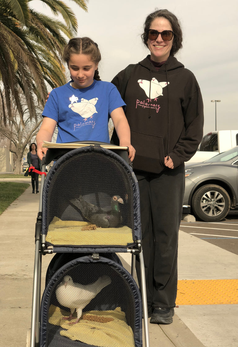 Double Decker Pet/Pigeon Stroller - TEMPORARILY SOLD OUT