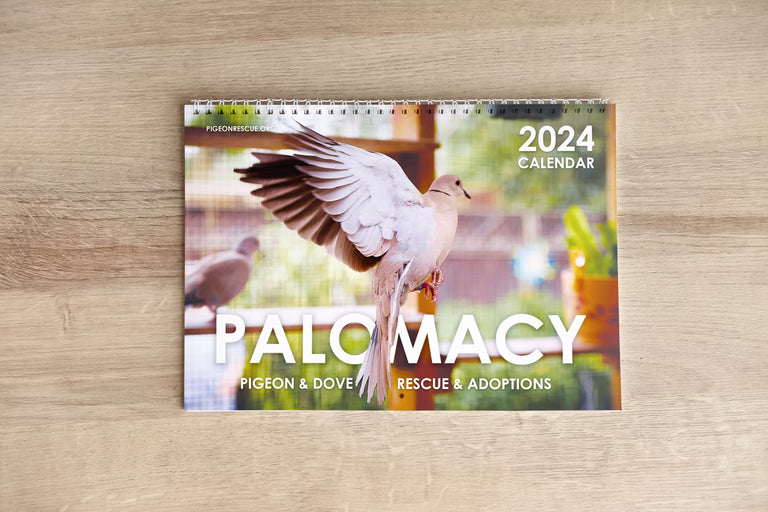 2024 Palomacy Full Color Wall Calendar